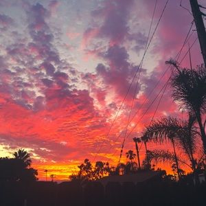 Meet your Posher, Maggie